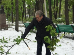 Представление в стиле Киртоакэ и Гимпу в центральном парке: племянник пилит, дядя подбирает