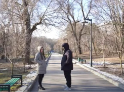 В «Долине роз» стая собак покусала женщину