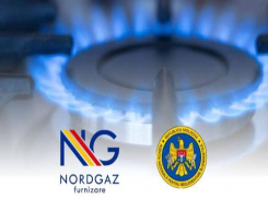 Приостановка НАРЭ лицензии Nordgaz была незаконной