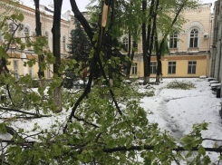 Текущая ситуация в Кишиневе: как обстоят дела с общественным транспортом, расчисткой дворов и отоплением 