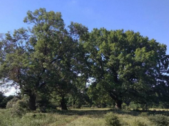 Легенды Гура-Быкулуй. Пушкину – от влюбленных…