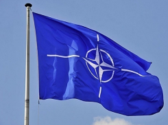НАТО пошло против мнения президента и назначило руководителя своего офиса в Молдове 