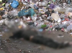 Мертвого мужчину вытащил за ногу искатель костей в Кишиневе и показал на видео