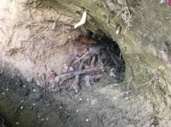 Позади посольства США в Кишиневе найдены человеческие останки