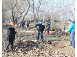 В примэрии хотят, чтобы город убирали сами кишиневцы