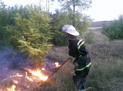 Во вторник в Молдове будет очень жарко: объявлено предупреждение в связи с чрезвычайной пожарной опасностью 