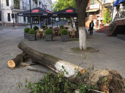 При уборке центра Кишинева от упавших деревьев «забыли» про пешеходную улицу