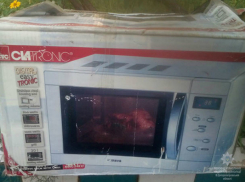 Молдаванин ограбил дачу в украинском городе Днепр  