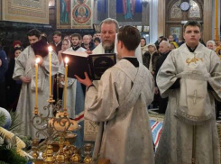 Митрополит Владимир поздравил верующих с Рождеством Христовым словами о «враге рода человеческого»