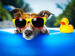 Топ-4 важных советов как пережить жару в Молдове 