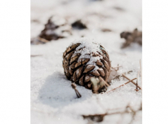 Во вторник в Молдове ожидается снег и ветер 
