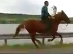 К любимой на коне с цветами: принца ХХI века на дороге в Леово сняли на видео