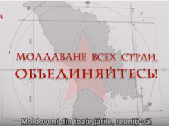 Социалисты намерены объединить молдавскую диаспору из всех стран мира 