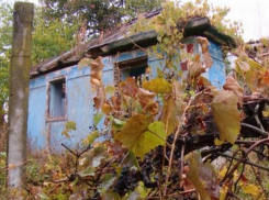 Молодой человек купил дом в умирающем молдавском селе - оставшиеся люди надеются, что это станет началом возрождения