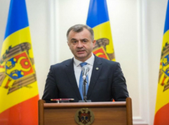 Кику уволил ключевого чиновника за нарушения выдачи водительских прав