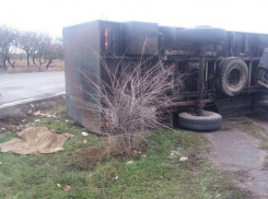 Ужасная смерть: бойцы Нацгвардии Украины обезглавили женщину