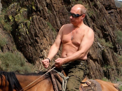 Путин о своих фото с голым торсом: «Не считаю необходимым прятаться за кустами»