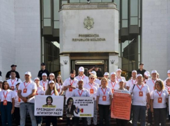 Протест INIMA MOLDOVEI против «вмешательства президента в выборы» обернулся потасовкой