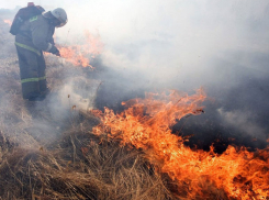 Более 70 гектаров земель в Молдове оказались охвачены пламенем 