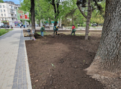 Субботнее ограничение в Кишиневе: ул. Рэдэуцану закроют до вечера