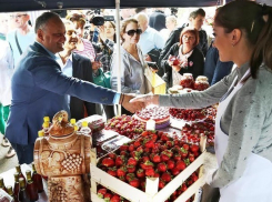 Фестиваль клубники и мёда в Молдове будет проходить под патронатом президента