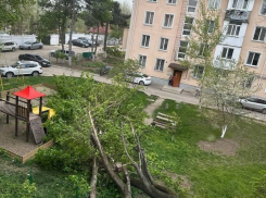 В Молдове оранжевый код из-за сильнейшего ветра