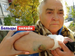 В Бельцах 78-летнюю старушку едва не загрызли бродячие собаки
