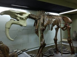 «Фантастические» впечатления получили удивленные жители Кишинева в «Ночь музеев»