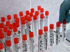 Срочно! В Молдове за сутки подтверждено 213 новых случаев COVID-19