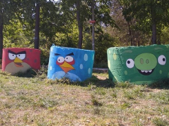 Сердитых птичек призвали на борьбу с неряхами в парке «Валя Морилор»