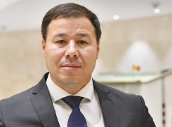 Цырдя: молдавский МИД только на посла России имеет право лаять