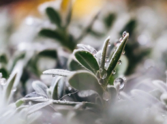 А вот и первые заморозки! Погода на субботу 