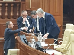 Вместо тысячи слов: Са-Ка-Шор в полной идиллии в парламенте