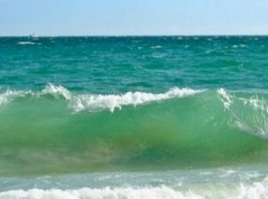 Морская вода у одесских пляжей пригодна для купаний 