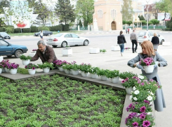 Скандальный цветочный ковёр от Сильвии Раду вызвал акцию «против грусти» в Бельцах