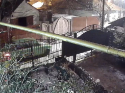 Пятеро малолетних детей угнали автомобиль в Грэтиештах