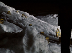 Массовый расстрел вышедших из ресторана людей с убийством мужчины произошел в Харькове