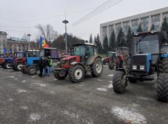 Фермеры готовы к «другим методам» протеста