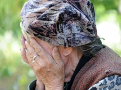 Жертвой мошенницы стала доверчивая пенсионерка в Каушанах