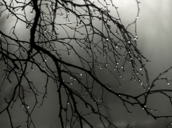 В первый день февраля в Молдове ожидается до 13 градусов тепла