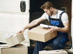 Правительство согласно. Проект о голосовании диаспорой почту получил положительную оценку