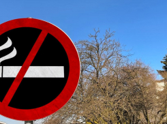 Штрафы за курение в общественных местах могут значительно вырасти