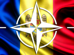 Граждане Молдовы высказали мнение о перспективе вступления страны в НАТО