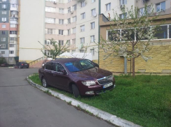 Кишиневец припарковался на газоне под цветущим деревом