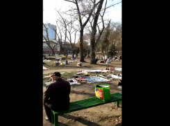 Пока политики ссорятся, людям все еще нечего есть!