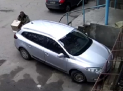 На Рышкановке бессердечный мужчина вывез кошачий домик и проживавшую в нем прирученную кошку в неизвестном направлении