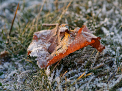 В четверг в Молдове будет пасмурно и холодно