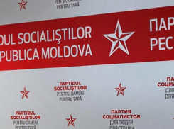 ПСРМ: недопустима передача суверенитета страны кому бы то ни было