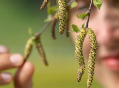 В субботу в Молдове еще потеплеет, возможен небольшой дождь 