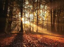 Воскресенье порадует жителей Молдовы хорошей погодой 